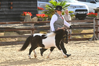 Class 9a In Hand M&M Small Breeds