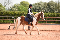 Dressage