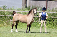 Class 2 Best Junior Handler