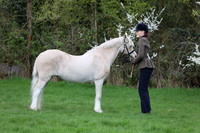 In Hand Mountain & Moorland