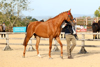 Class 6 In Hand RoR