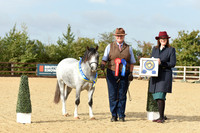Championship 1 Youngstock