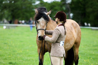 Ring 2 (11) M&M Large Breeds 4yrs & Over