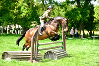 Ring 3 (23) Working Hunter 90cm