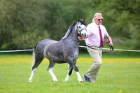 Ring 2 (8) M&M Small Breeds Under 4yrs