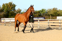 Class 5 In Hand Hunter