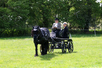 Ring 1 (6) Pleasure Driving