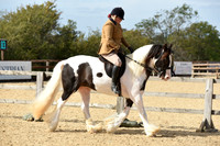 Class 20 Ridden Coloured