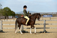 Class 14 Junior Ridden
