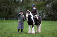 6D Direct Ridden Pre-Veteran