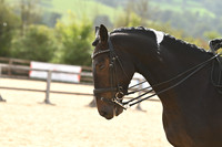 Class 17 Ridden Hunter