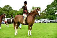 Ring 2 (14) Open Ridden M&M Small Breeds
