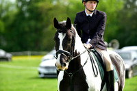 Ring 3 (30) Handsome Gelding