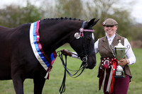 4. IN HAND, RIDDEN & SUPREME CHAMPS