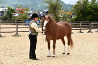 Championships - In Hand & Ridden