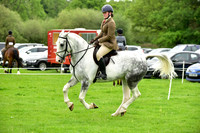 Ring 3 (21) Working Hunter 70cm