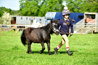 Ring 3 (38) Best Child Handler Under 12