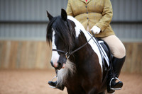 13 Dressage Intro C