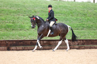 31 HOYS Coloured Ridden Non Native Pony