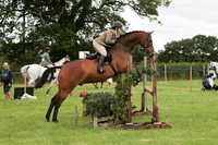 Class 16 Novice Working Hunter