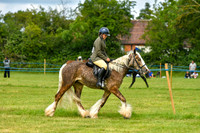 Classes 31-33 Ridden Cobs