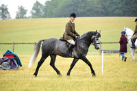 42 Sports Comp Pony 4 5 6yo