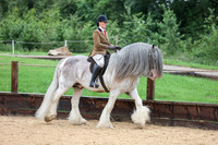 33 HOYS  Coloured Ridden Native Cob Trad Pony