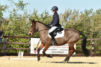 Dressage Times 10am-11am