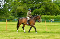 Classes 24-30 Ridden Hunters