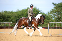 1 Novice Ridden