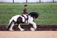 5 Burghwallis Stud Inter Rider