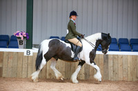 29 Newcommers Ridden