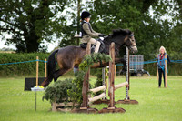 Classses 14-15 WH Pony