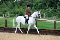32 HOYS Coloured Ridden Non Native Horse