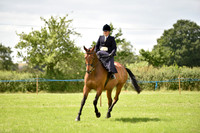 Class 21 Ladies Show Horse