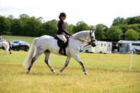 39C British Bred Champs