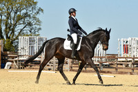 Dressage Times 2pm-3pm