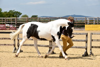 Class 7 - In Hand Cob