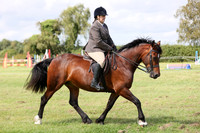 RIDDEN SHOWING