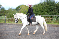 Flatwork