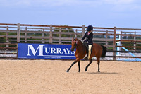 Class 24 Ridden Show Pony