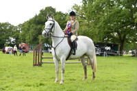 Working Hunter Championship