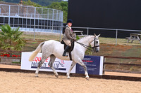 Class 16 Ridden Hunter