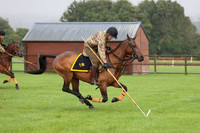 Tent Pegging - Lance