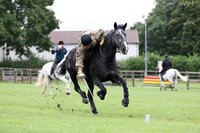Tent Pegging - Sword