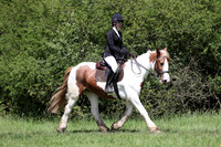 Ring 4 Showing Classes