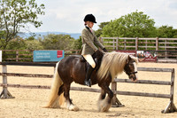 Class 11-13 Novelty Classes