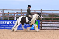 Class 19 Ridden Coloured