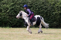 Ava & Mr Darcy
