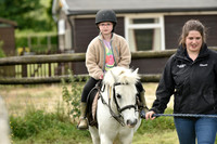Pony Rides